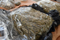 Predložen pritvor muškarcu kod koga je pronađeno 100 kilograma droge