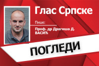 Историја пред Уставним судом