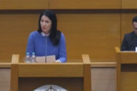 Trivić: Dodik nije kriv