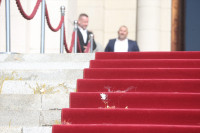 Građani gađali jajima zgradu Skupštine, opozicija ometa rad
