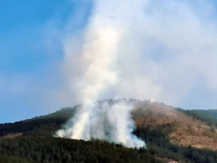 Požar u Petrovoćima, vatrogasci ne mogu da gase!