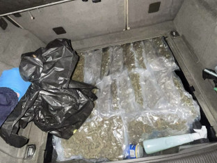 Na graničnom prelazu zaplijenjeno 11 kilograma marihuane