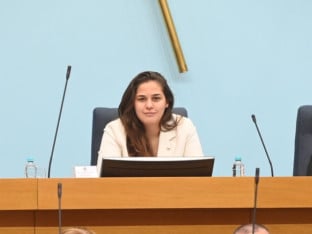 Ljubojević: Srbija će kroz Skupštinu razgovarati o problemima u BiH