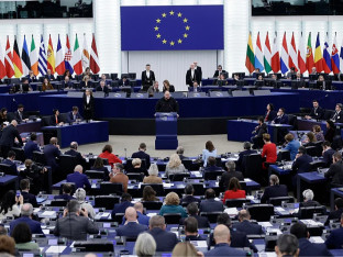 BiH na stolu Evropskog parlamenta