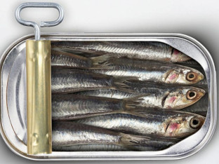 Znate li šta unosite u organizam jednom konzervom sardine?