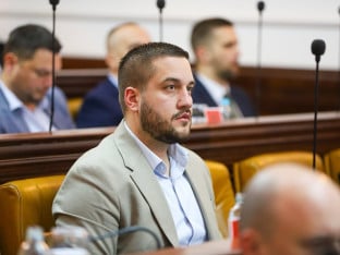 Drinić novi generalni sekretar PDP