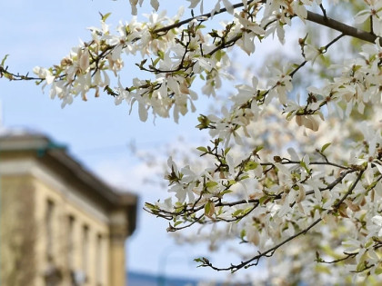 Sutra počinje proljeće, evo kakvo nas vrijeme očekuje