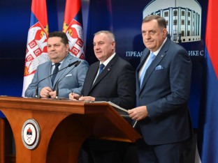 Austrija i Njemačka zabraniće ulazak Dodiku, Stevandiću i Viškoviću?