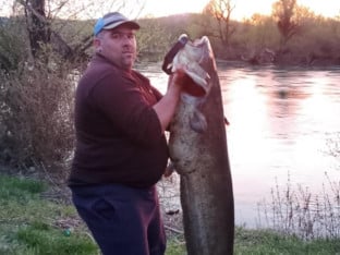 Kapitalni ulov u rijeci Uni: Som od 35,8 kilograma