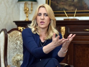 Cvijanović: Dejton ne daje pravo strancu da donosi zakone