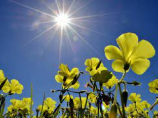 Danas vjetrovito sa temperaturom do 29 stepeni