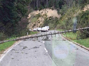 Vjetar pravi probleme: Drvo prepriječilo put