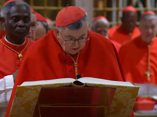 Italijanski mediji bruje o kardinalu Vinku Puljiću