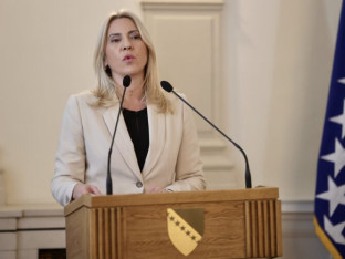 Cvijanović: Evropski put BiH uz pomoć EU i bez miješanja treće strane