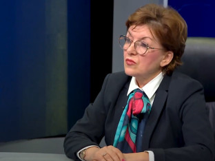 Vidović: Vlada neće sprovoditi Šmitovu odluku