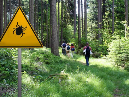 Krenula je sezona krpelja, ovako se možete zaštititi tokom boravka u prirodi