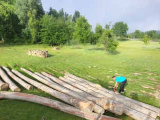 Lugar oštetio šumsko gazdinstvo za 20.000 KM