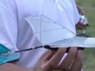 Ni ptice ne mogu da prepoznaju ovaj kineski dron