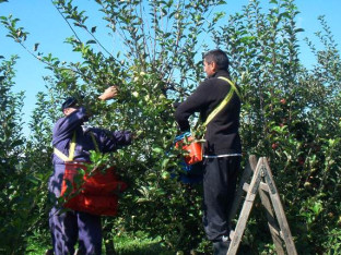 Kako Srbac pokušava da oživi ruralna područja