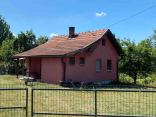 PREOKRET: Povratnica Jela Pejić nije ubijena?!