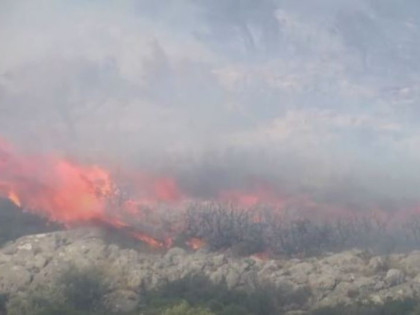 Požar bjesni u blizini Atine, naređena evakuacija