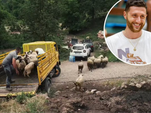 Nurkić kupio ovce porodici iz Foče čija stado su pobili vukovi