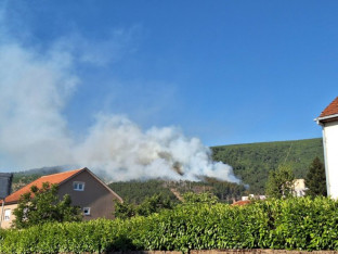 Požar kod Bileće, vatrogasci na terenu