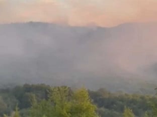 Gori šuma u pograničnom području sa Srpskom