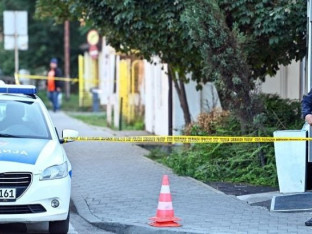 Advokat o presudi Kokanoviću