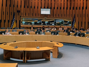 Ustavna pravila na rasprodaji