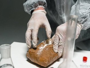 Sa pola kilograma kokaina pokušali ući u BiH – uhapšeni na granici