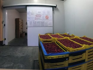 Poluprazne hladnjače zbog nestašice malina