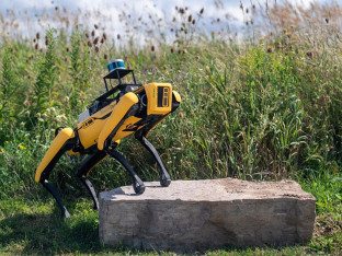 Robotski pas ima novi posao (VIDEO)