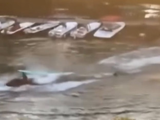 Nakon svađe sa trenerom, skuterom pokušao da pregazi njega i djecu (VIDEO)