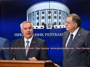 Radovan Višković podnio ostavku