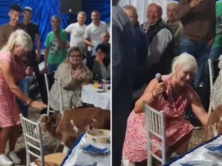 Nije imao bakšiš, pa pjevačici poklonio tele: Pogledajte njenu reakciju (VIDEO)