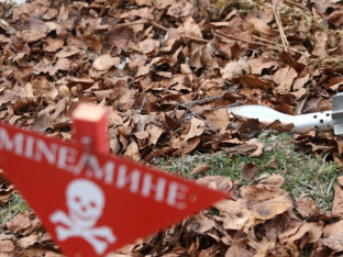 Више од 90.000 људи у БиХ живи на подручјима угроженим минама