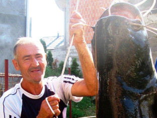 Риболовачки трофеји вредни дивљења: Упецан сом од 86 килограма