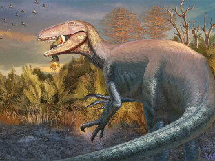 Otkrivena nova vrsta dinosaurusa sa krokodilskom kosti