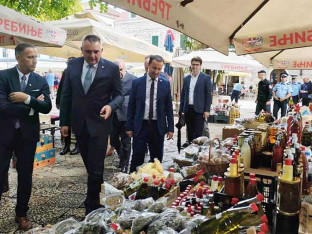 Minić: Malicioznim narativom blate sve u Srpskoj