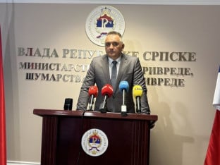 Minić: Očekujemo podršku za odbranu institucija Srpske