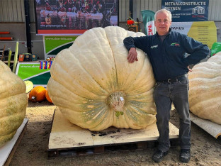 Farmer iz Belgije uzgojio bundevu tešku više od tone