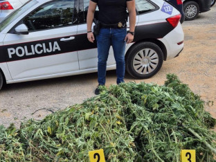Policija u plasteniku pronašla 50 kg droge