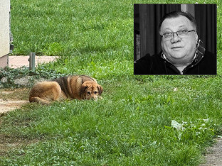 Tuga: Halidov pas ne ustaje sa mjesta na kojem leži od dana smrti pjevača