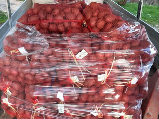 Дани гламочког кромпира: Промоција традиције и квалитета