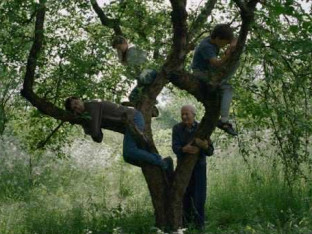 Nagrada za film Stefana Đorđevića