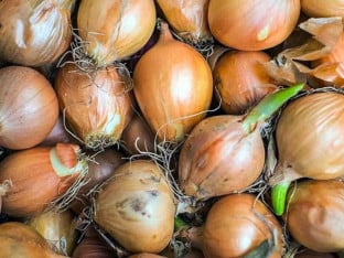 Ево научног објашњења како да не плачете док сјецкате лук