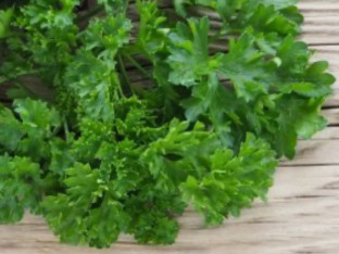Trik koji će produžiti svježinu peršuna