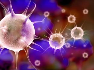 Istraživanje: Najmlađa djeca šire najviše virusa