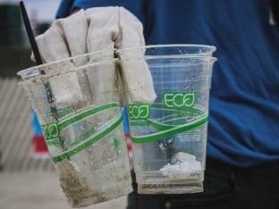 U Rusiji stvorena samorazgradiva plastika napravljena od biljaka